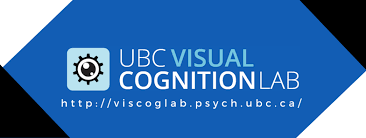 Kevin Peng - Visual Cognition Labs